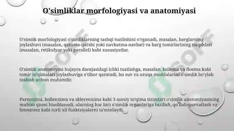 O'simliklar dunyosi va ularni hayot tarzi 3