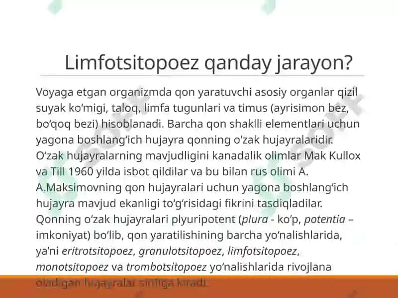 Limfotsitopoezning hususiyatlari 3