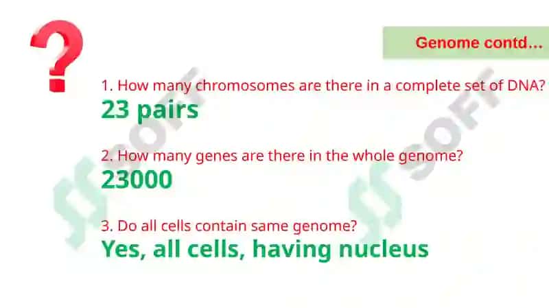 GeneticTerms 3
