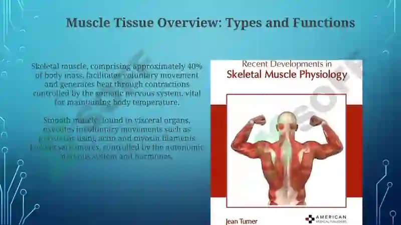 Physiology of muscles 3