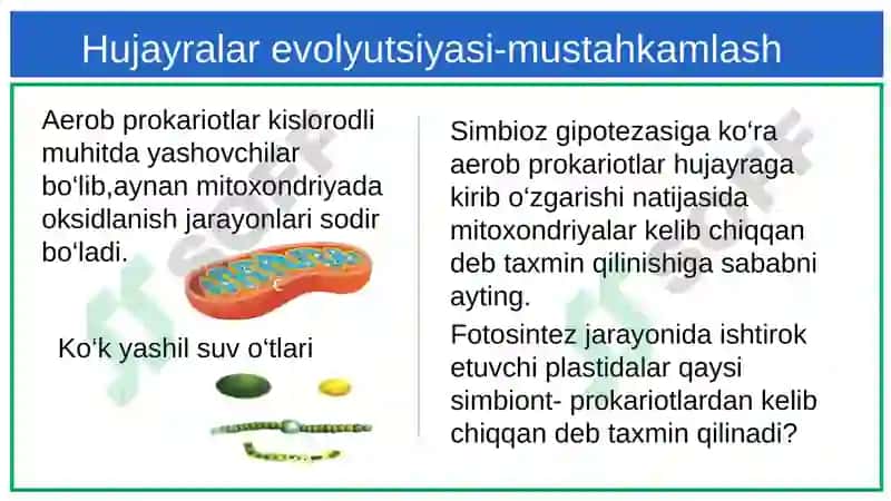 Hujayralar evolyutsiyasi-mustahkamlash 3