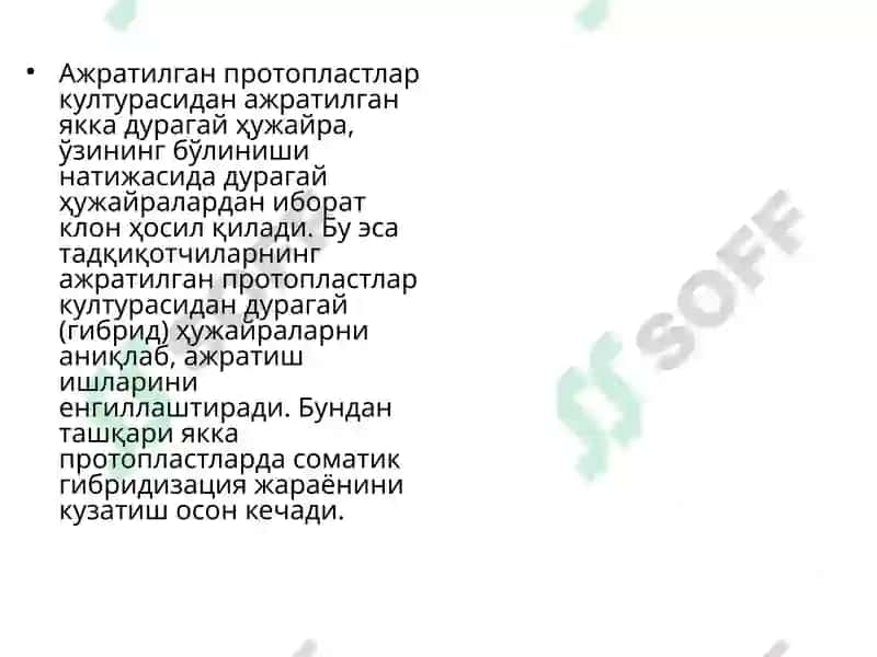 Якка ҳужайралар культураси 3