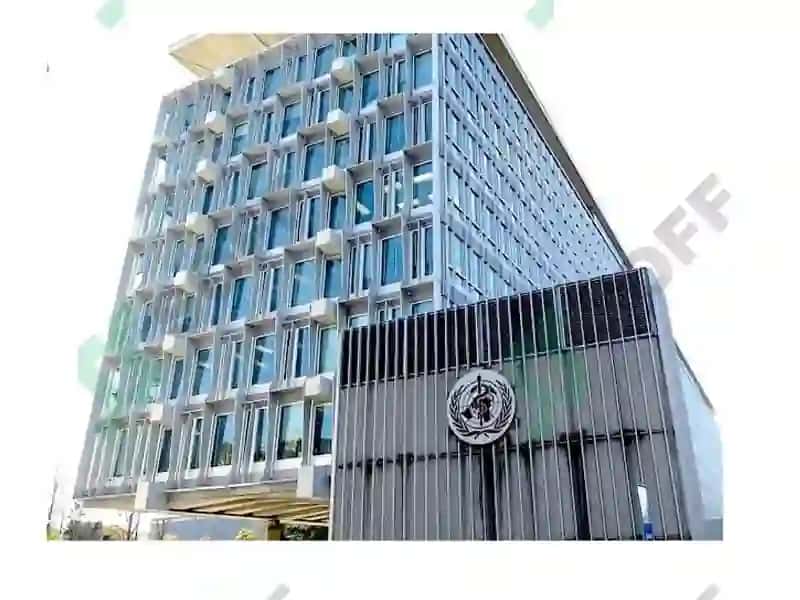 World Health Organization(WHO) 3