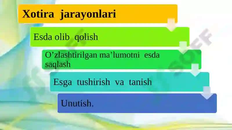 Bog’chayoshida bilish jarayonlari 3