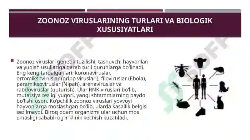 Zoonoz viruslari va ularning insonga yuqish mexanizmlari 3