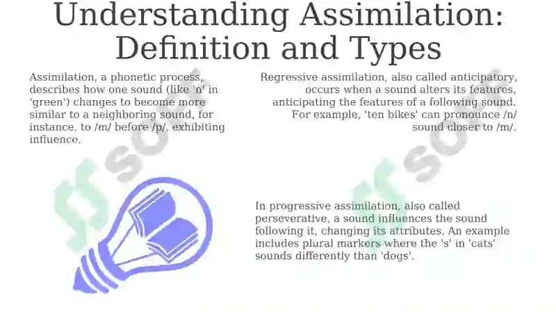 Understanding Assimilation: Definition and Types 3