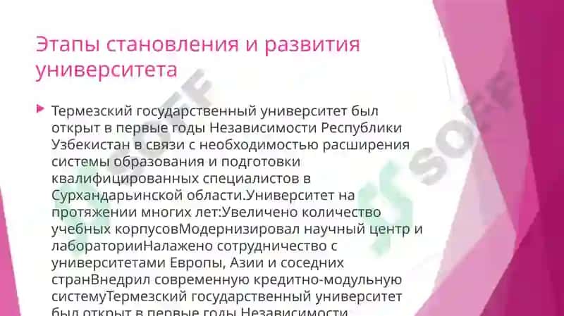 Термезский государственный университет 3