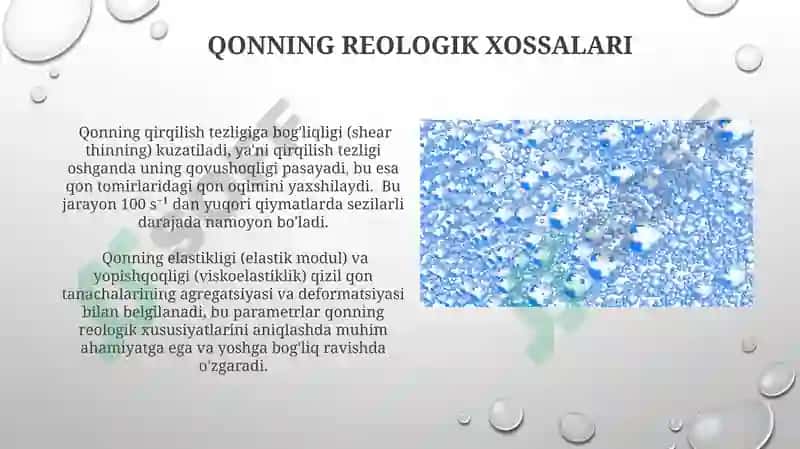Qonning reologik xossalari 3