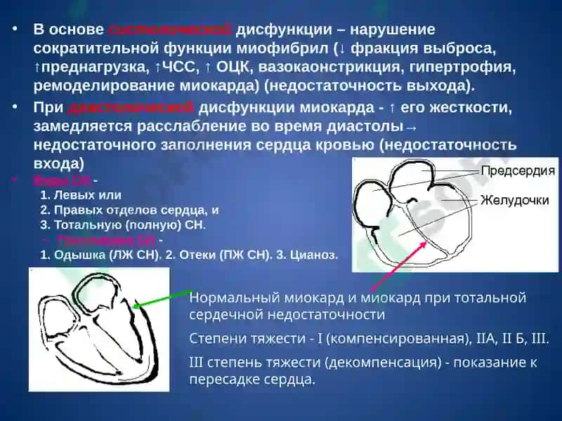 Кардиотонические лекарственные средства 3