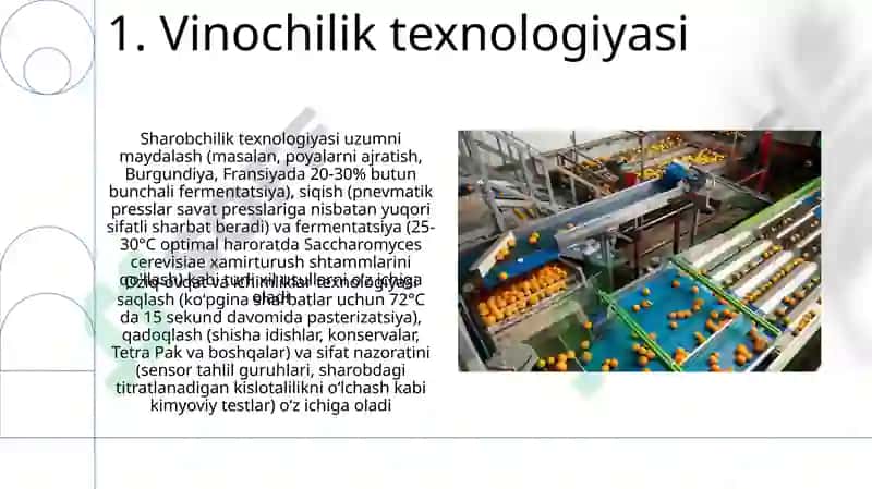 Vinochilik texnologiyasi 3