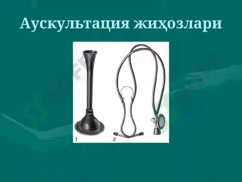 Ўпка аускультацияси 3