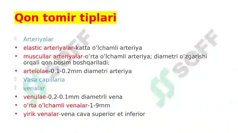 YURAK QON-TOMIR TIZIMI VAZIFASI 3