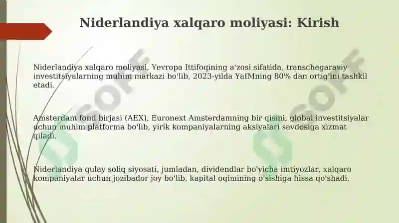 Niderlandiya xalqaro moliyasi 3