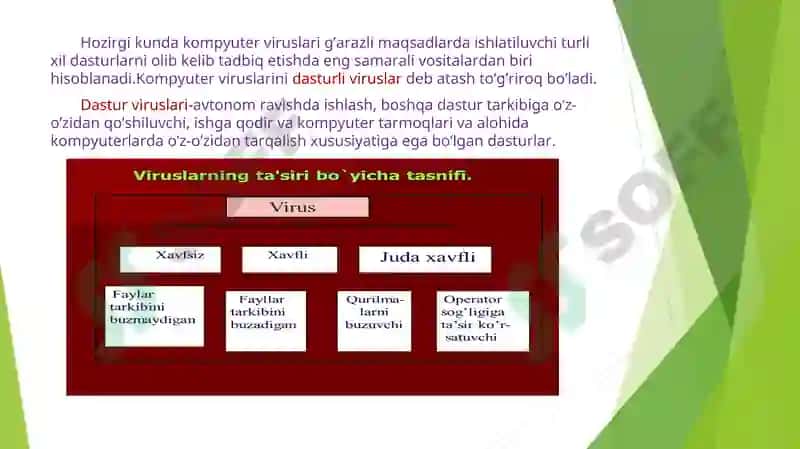 Virus va uning turlari 3