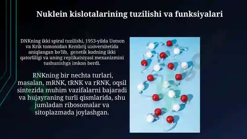Nuklein kislotalar metabolizimi 3