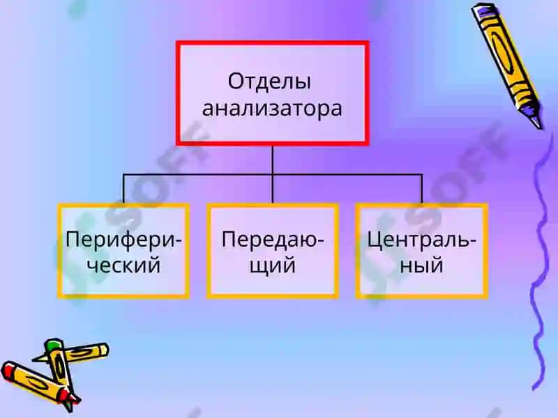 Классификация ощущений 3