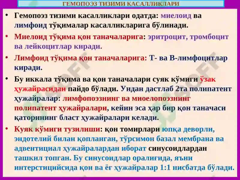 ПАТОЛОГИК АНАТОМИЯ 3