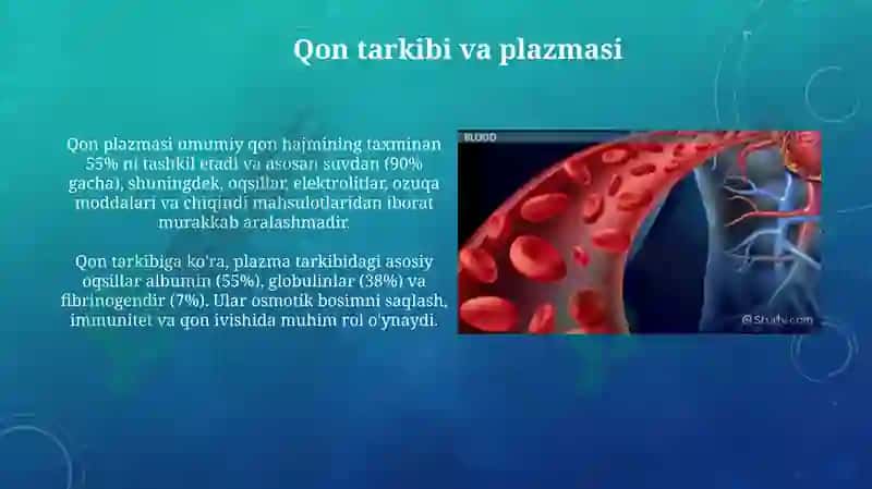 Qon tarkibi va plazmasi 3