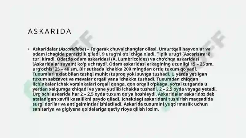 Yumaloq chuvalchanglar 3