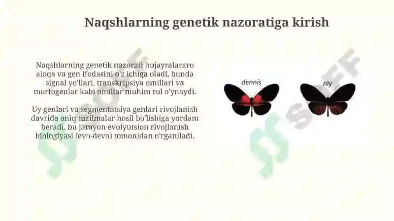 Naqshlarning genetik nazorati 3