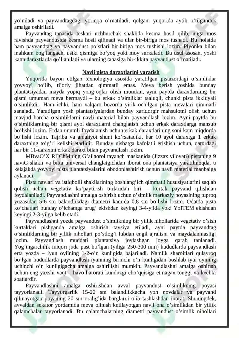 Mevali daraxtlarni payvandlash 3