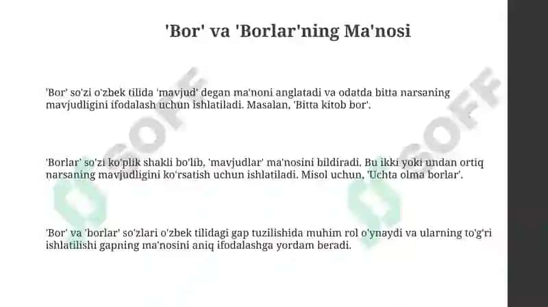 "Bor" va "Borlar": Asosiy Qoidalar 3