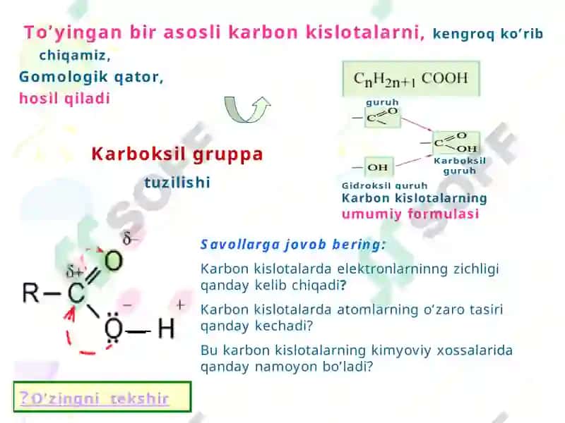 Karbon kislatalar klassifikatsiyasi 3