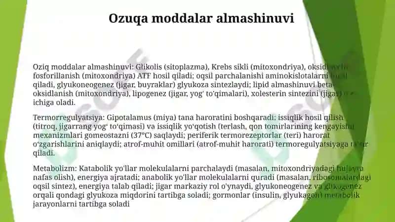 Metabolizm.Termoregulatsiya 3