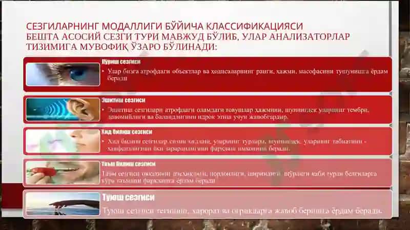 Сезгилар клаcсификацияси 3
