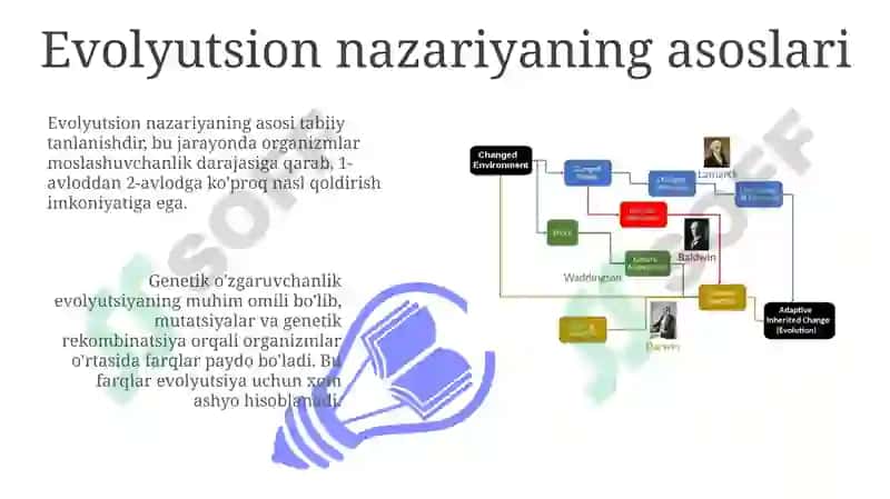 Evolyutsion Nazariya 3