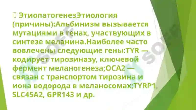 альбинизм. клиника диагностика лечение профилактика 3