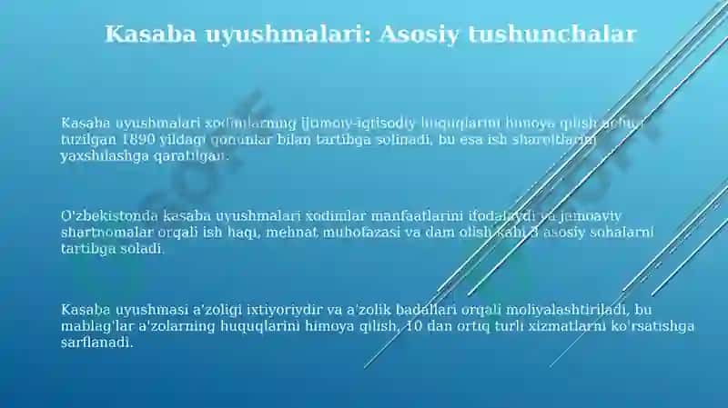 Kasaba uyushmalari 3