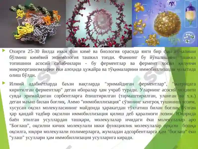 Ферментларни иммобиллизацияқилиш усуллари 3