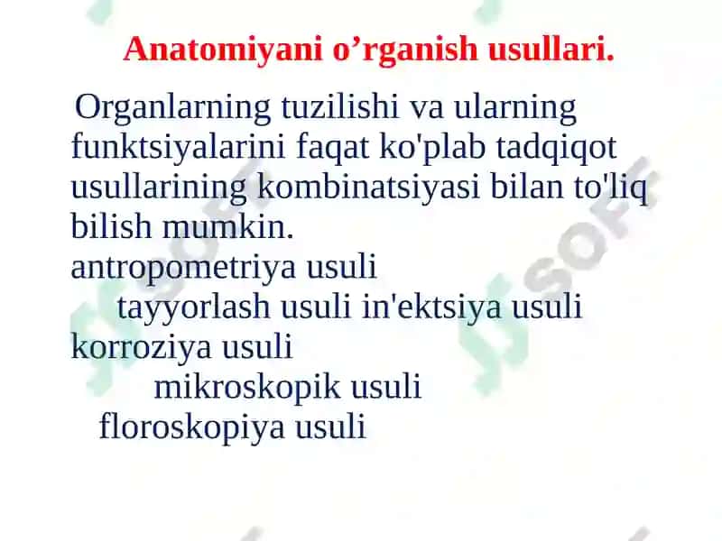 Inson anatomiyasi 3