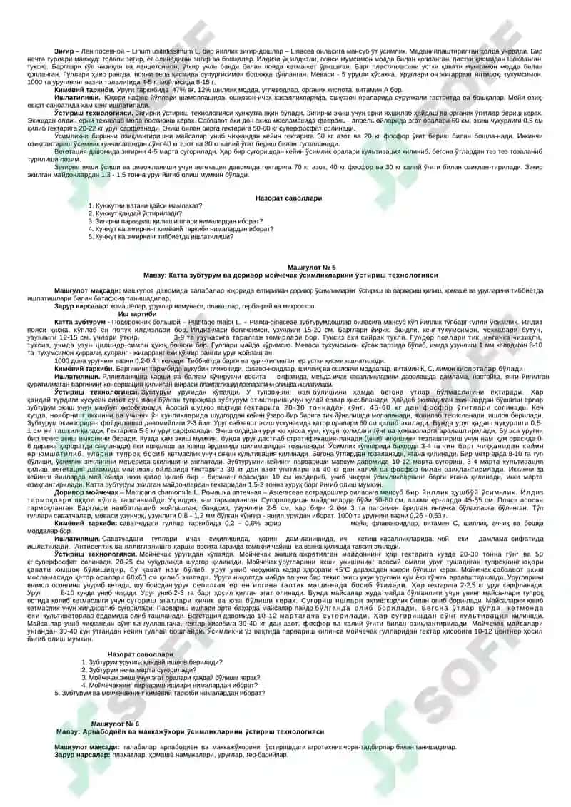 Доивор ўсимликлар етиштириш технологияси 3