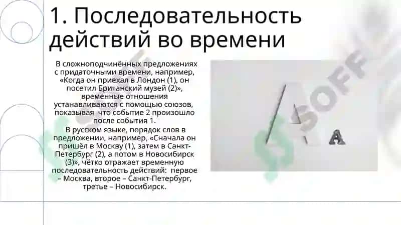 Скелет туловища 3
