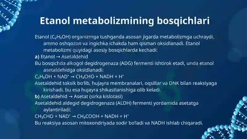 Etil spirti. Alkogolizmning organizmga taʼsiri 3