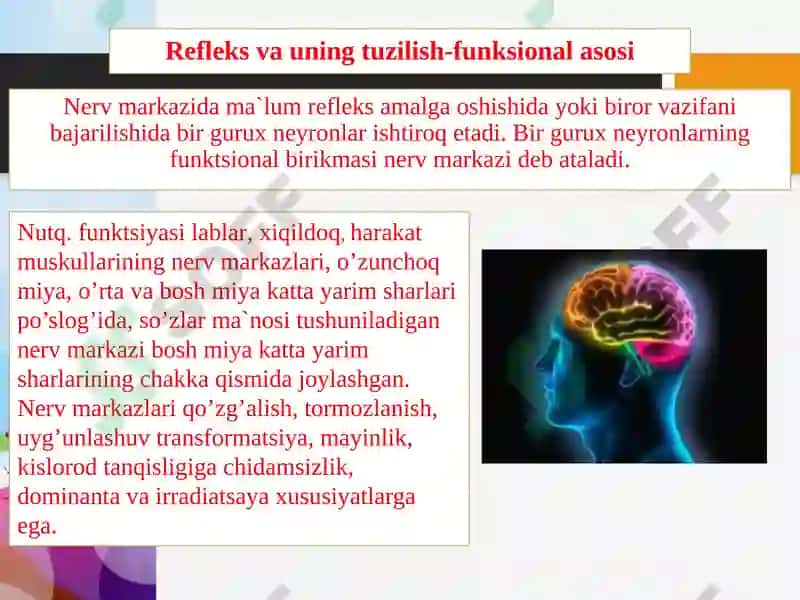 Refleks va refleksyoyi 3