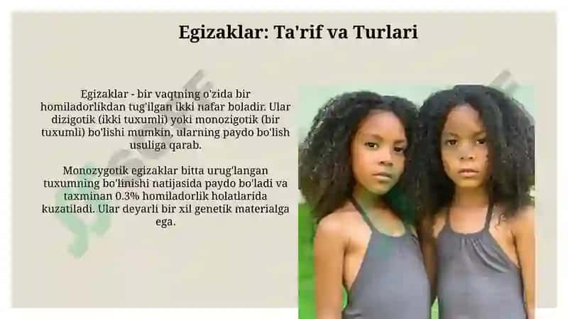 Egizaklar 3