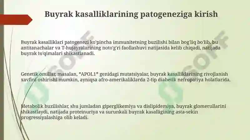 Buyrak kasalliklari patogenezi 3