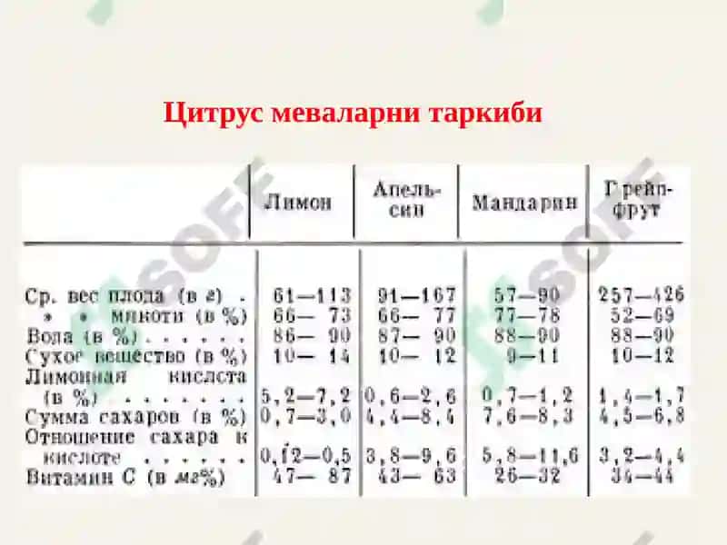 Цитруслардаги мева ва резавор мевалар 3