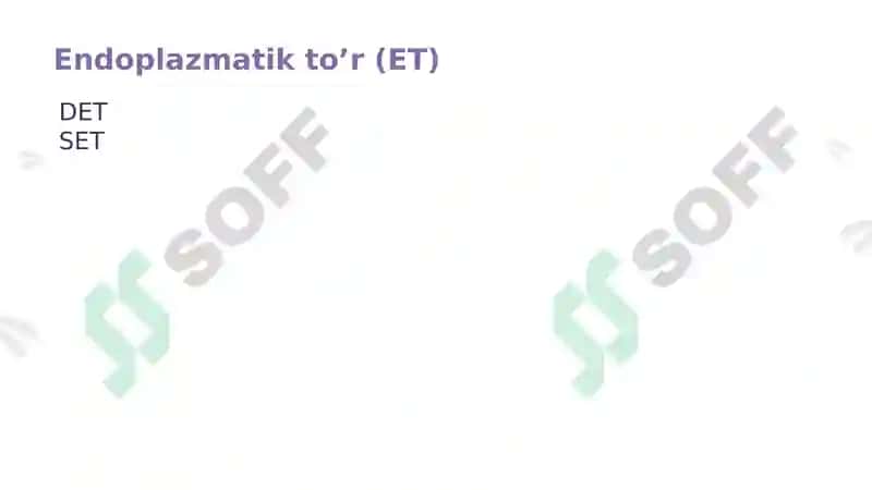 Organoidlar: Endoplazmatik to'r Golji apparati 3