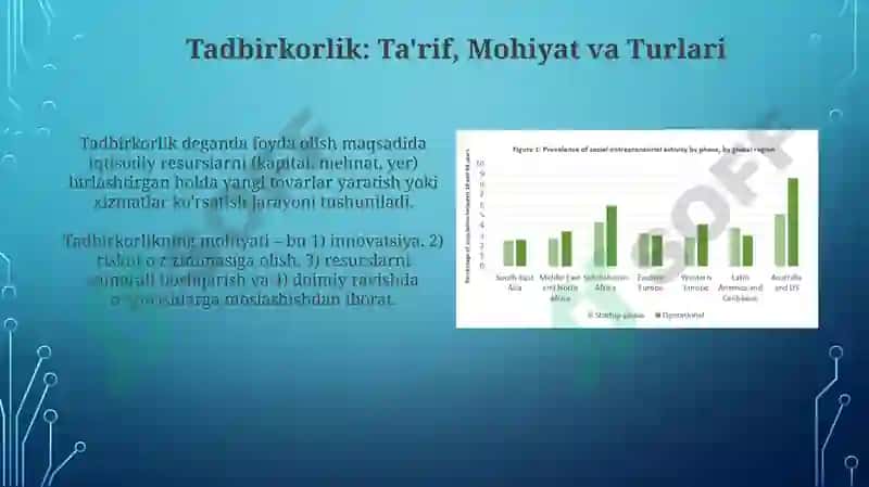 Tadbirkorlik faoliyati 3