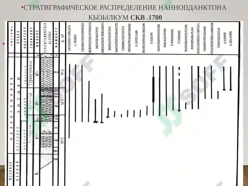 СТРАТИГРАФИЯНИНГ АСОСИЙҚОИДАЛАРИ 3