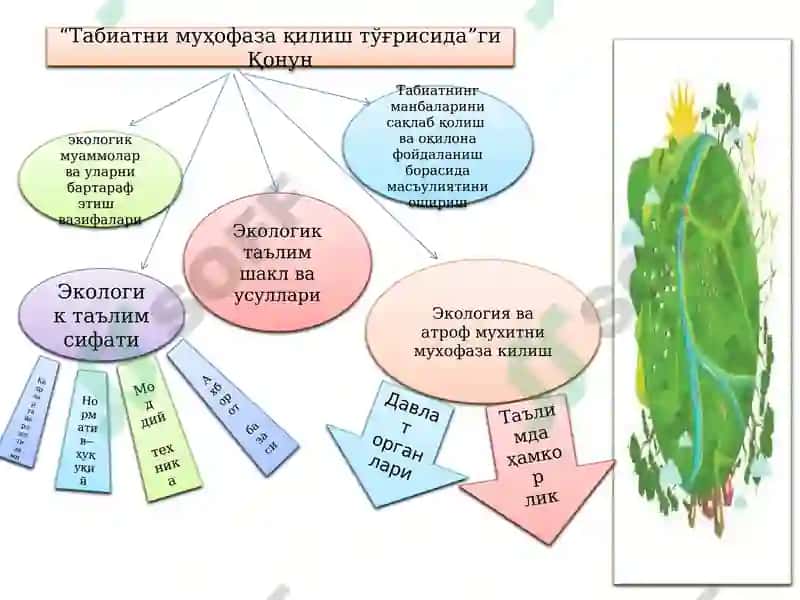 ЭКОЛОГИК ТАЪЛИМНИ РИВОЖЛАНТИРИШ 3