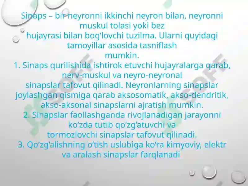 Sinapslar fiziologiyasi 3