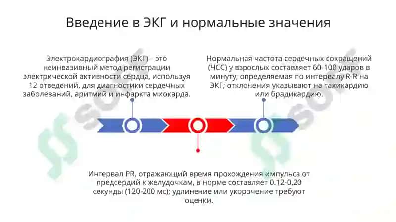 Педиатрическое дело 3