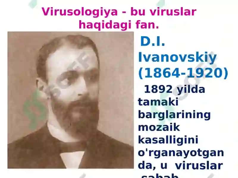 Hayotning hujayraviyasoslari 3