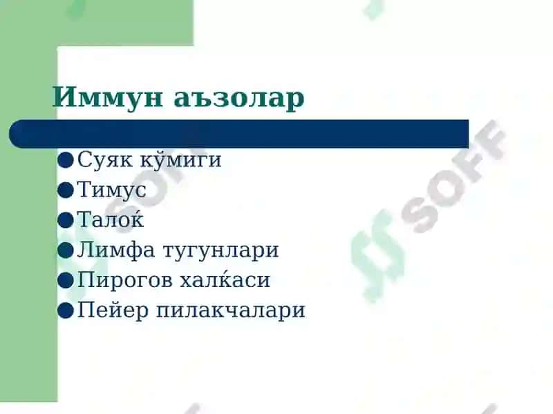 Иммун тизим патофизиологияси 3