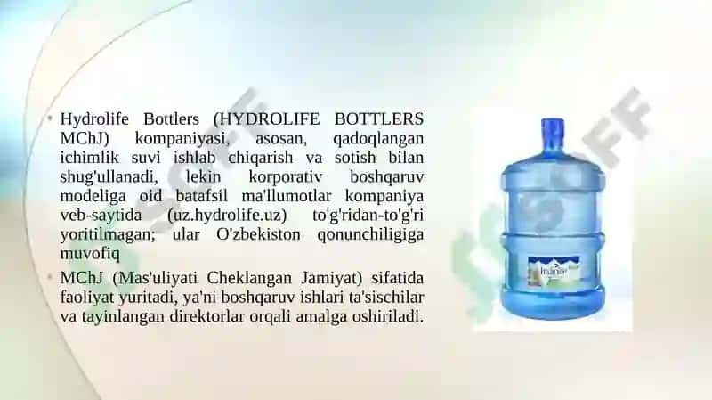 Hydrolife kompaniyasining korporativ boshqaruvi 3